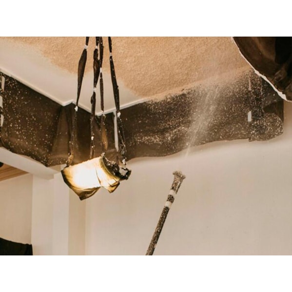 Barrica Cola Branca PVA 521 50 kg