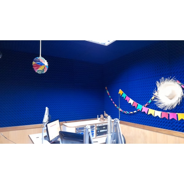 Espuma PU Senoidal 500 x 500 x 25 mm Densidade 23 kg/m3 Cor Natural